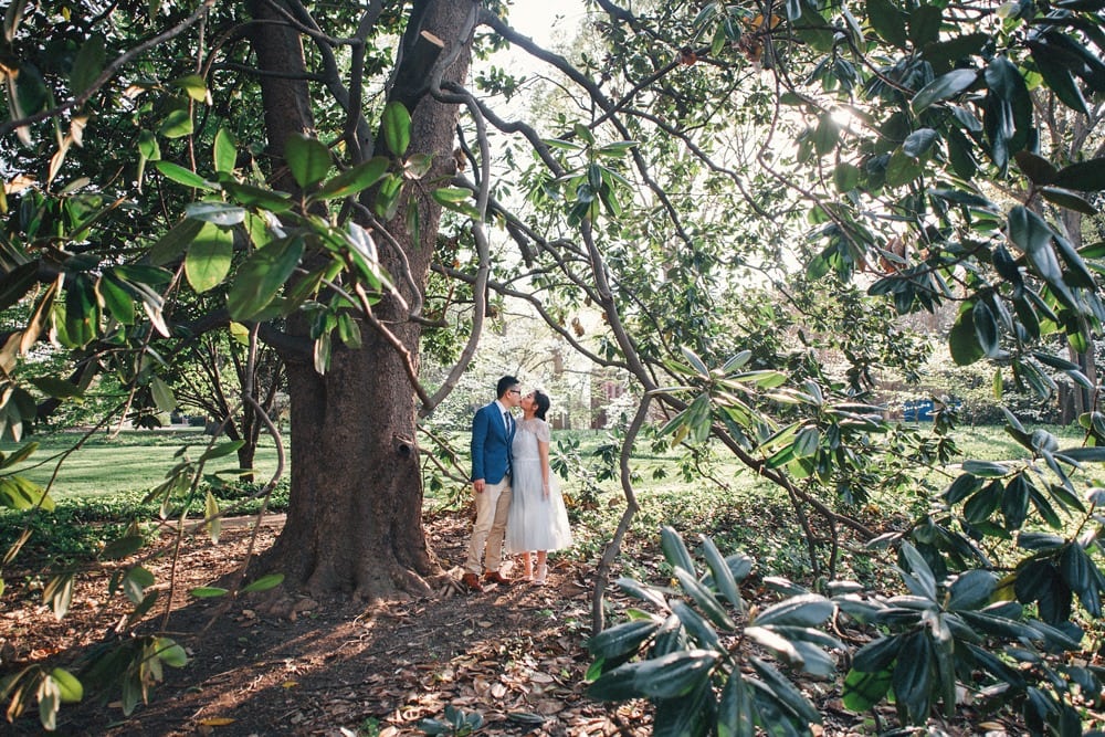 vanderbilt campus arboretum engagement Lexington wedding photographer