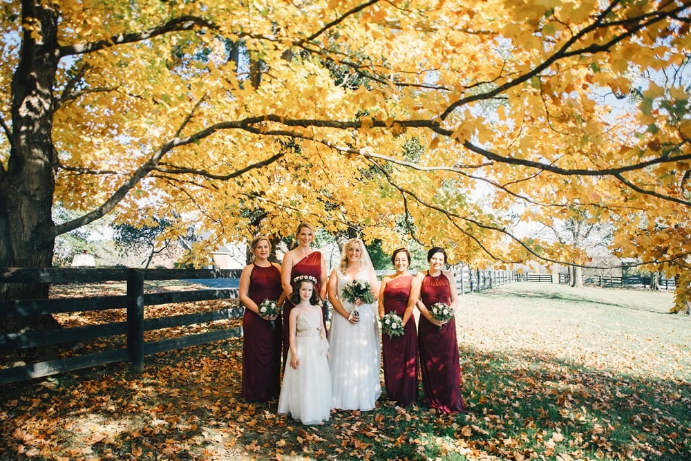 dreamy autumn wedding warrenwood manor Lexington photographer