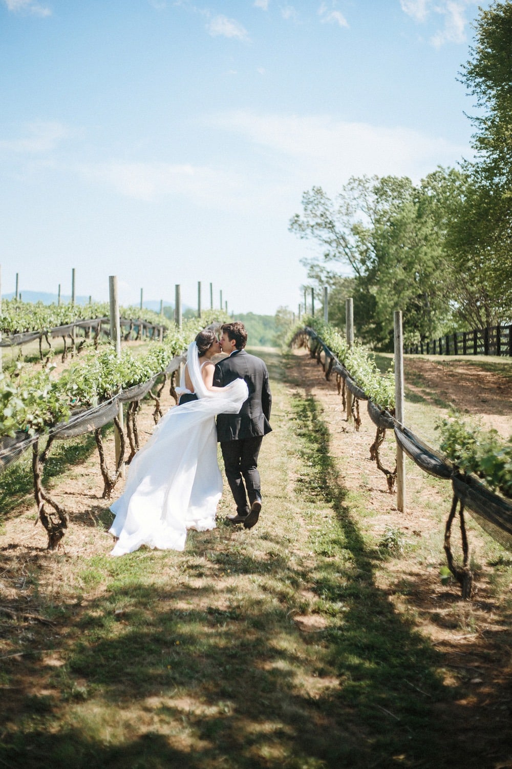 elegant winery wedding lexington photographers