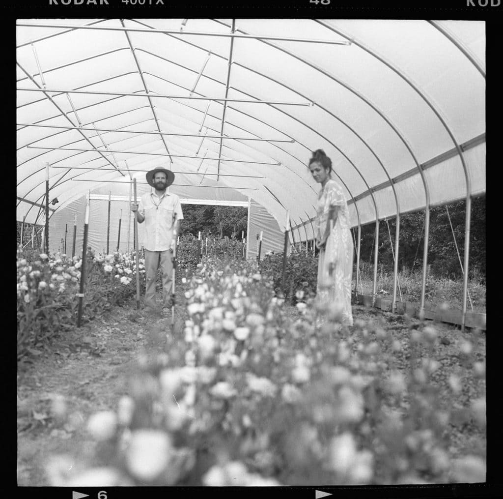 120 film black and white photo of bellaire blooms flower farm greenhosue