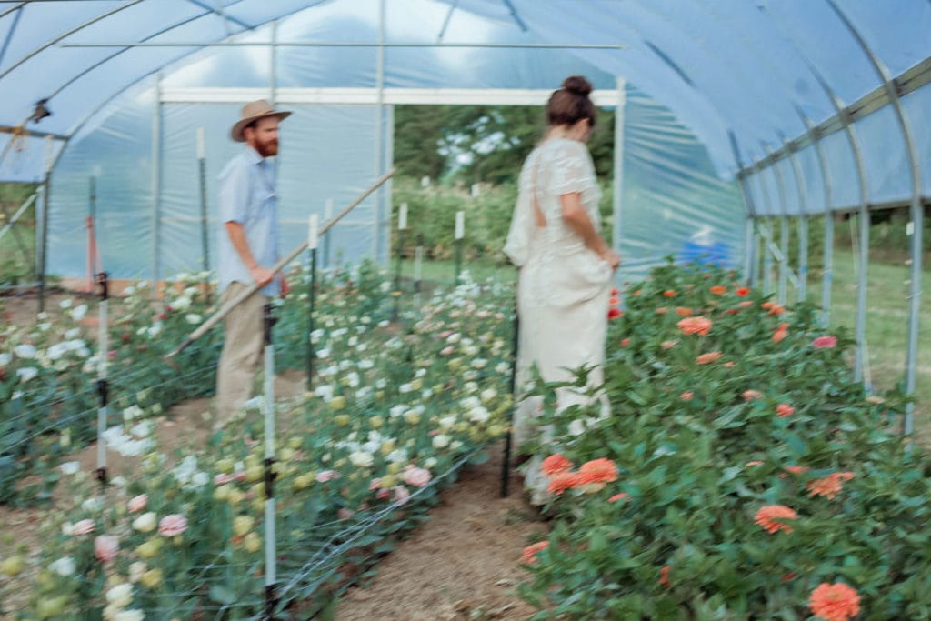 bellaire blooms flower farm greenhouse