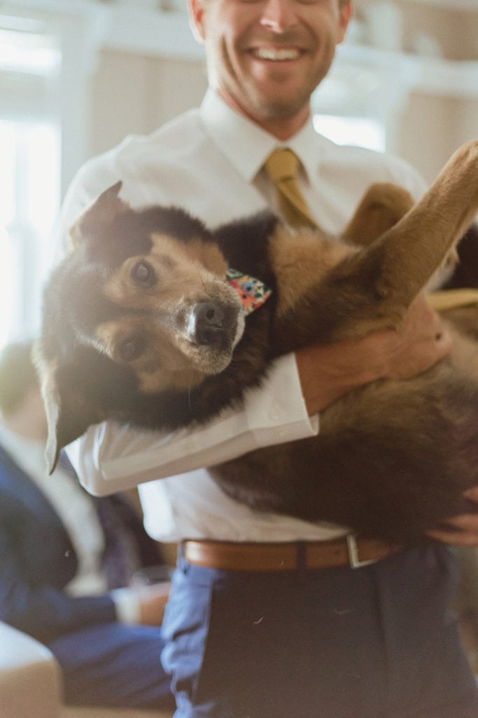 groom holding dog
