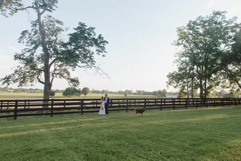 midway ky horse farm wedding portrait